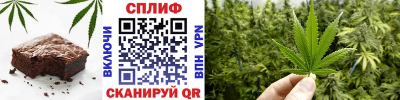 Canna-Cookies конопля  darknet состав  Мурино 