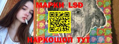 спиды Камышлов