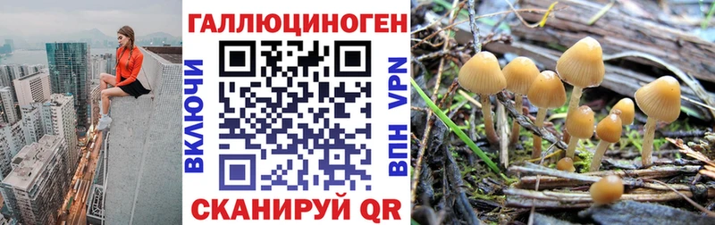 Псилоцибиновые грибы GOLDEN TEACHER  Мурино 