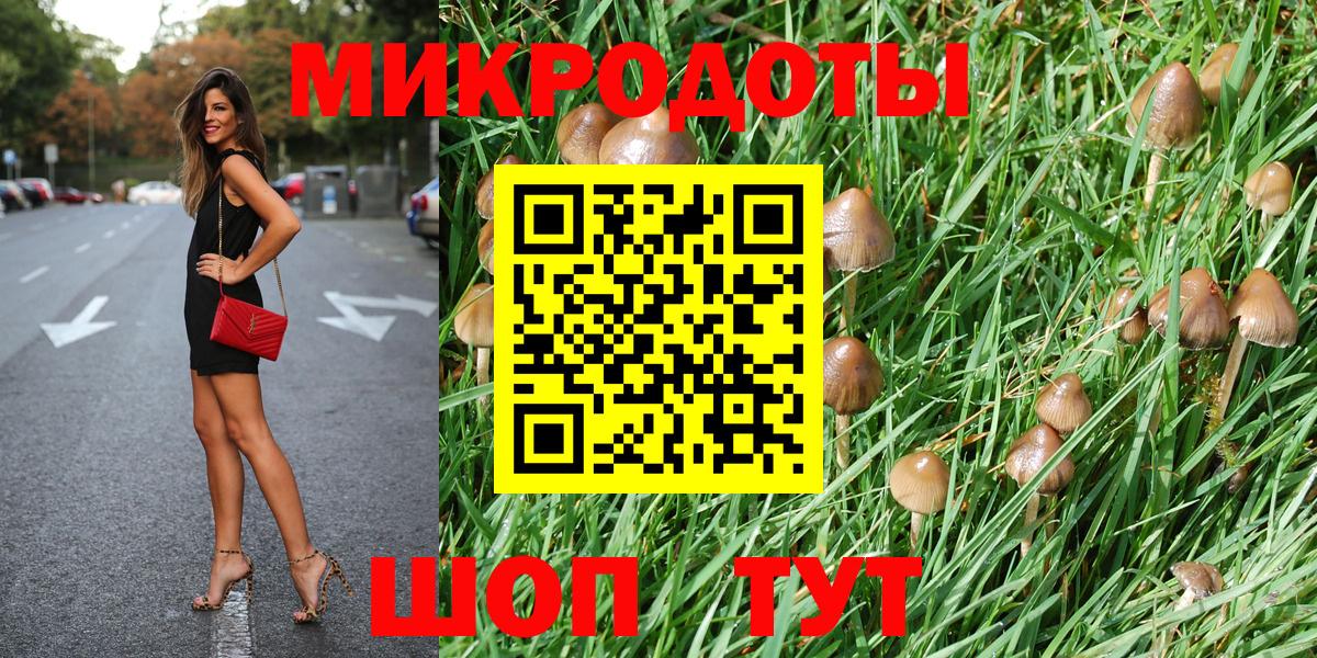 Псилоцибиновые грибы Cubensis  купить наркотики цена  Мурино  Вход с VPN 